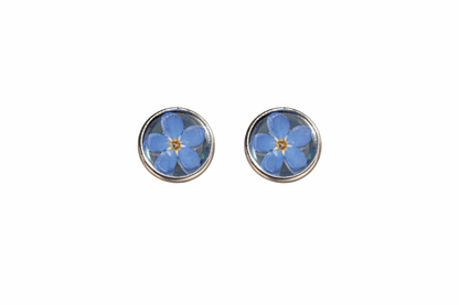 Forget Me not Bloom