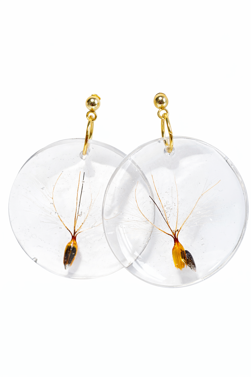 Golden Seed Earrings